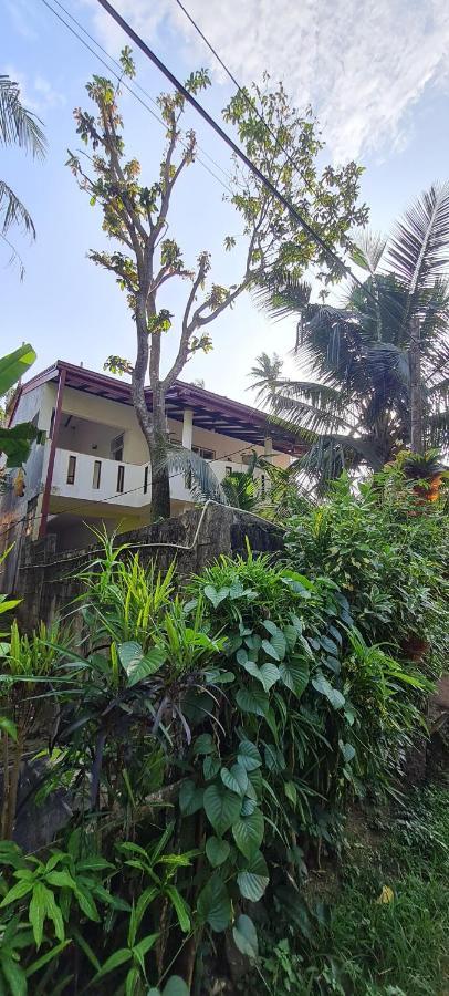 Wimala B&B Bentota Exteriör bild