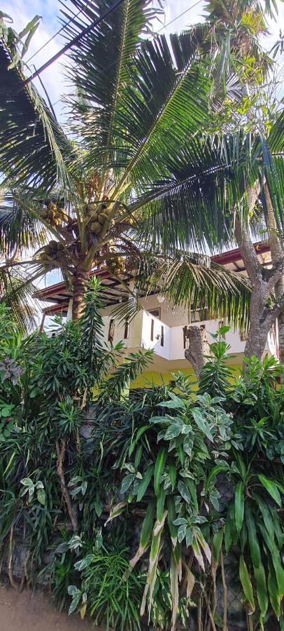 Wimala B&B Bentota Exteriör bild